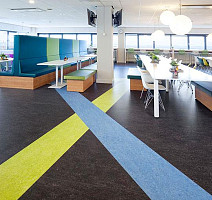 Forbo Marmoleum Decibel on Order 323635 dark bistre фото 2 | FLOORDEALER